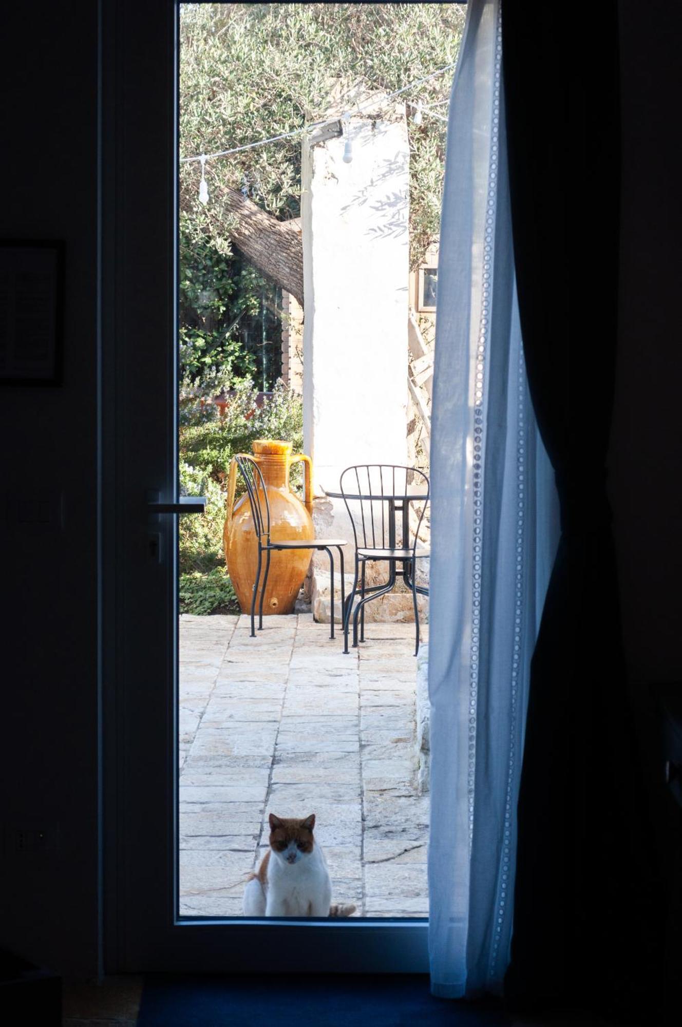 Casale Petrarolo Bed & Breakfast Monopoli Luaran gambar
